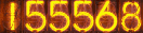 155568